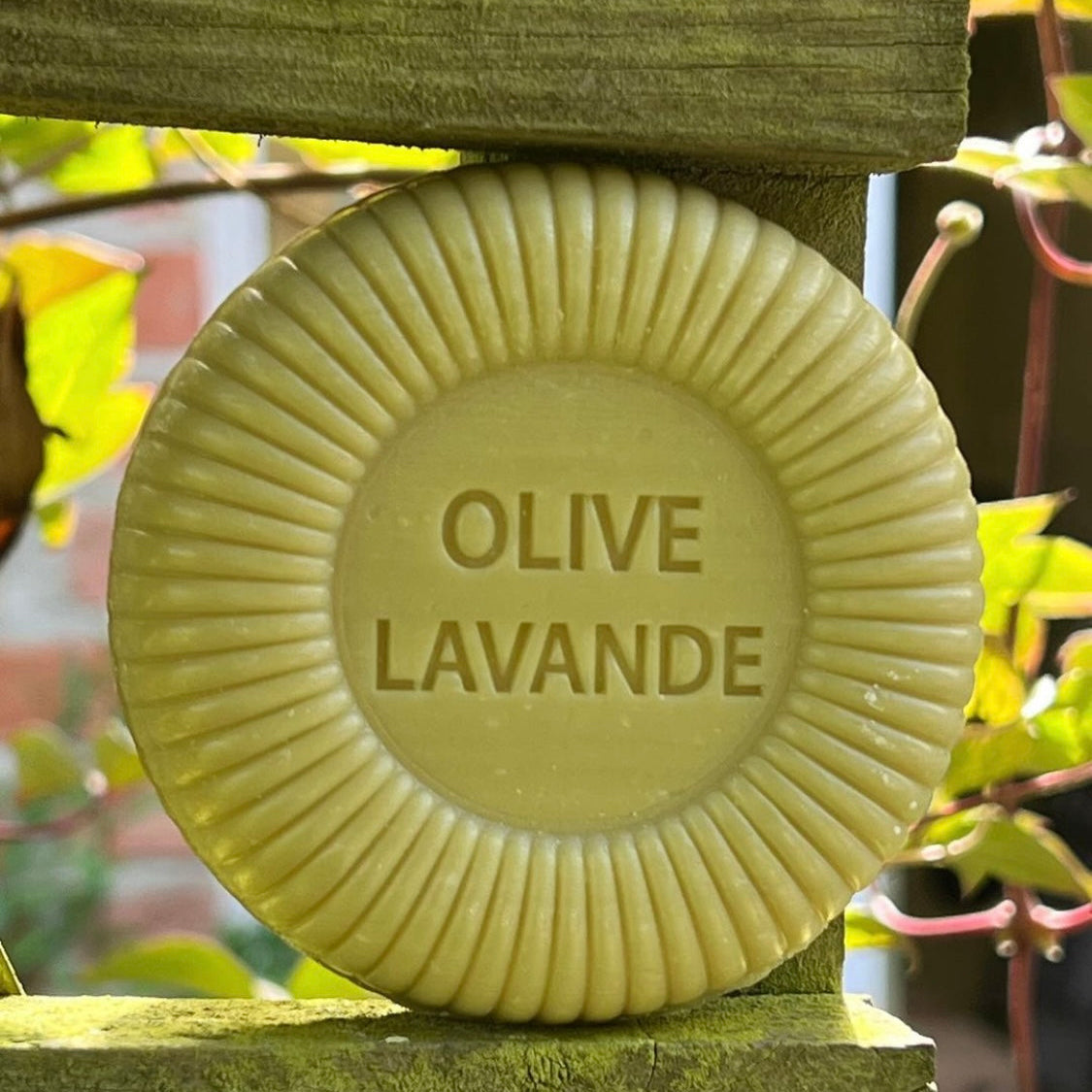 Savon " Tradition" Olive Lavande 110g Rond